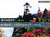 《測你老了之後還<i>有沒有</i>年輕人的心態》测试