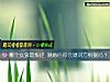 《<i>哪個</i>女孩最叛逆 測婚後你會遭對方劈腿嗎？》测试