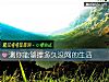 《測你能夠撐多久沒網的<i>生活</i>》测试