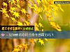 《一見鍾情的你們會<i>牽手</i>到最後嗎？》测试