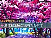《測你被<i>愛情</i>傷害得有多麻木》测试
