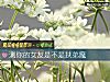 《測你的<i>女友</i>是不是扶弟魔》测试