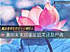 《測你未來對象是<i>溫柔</i>還是嚴肅》测试