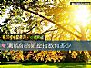 《測試你的姐控<i>指數</i>有多少》测试