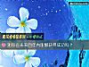 《測你在未來四年內能夠獲得成功嗎？》测试