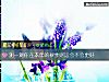 《測一測你在本年的秋季財運會不會更好》测试