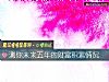 《測你未來五年的<i>財富</i>積累情況》测试