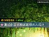 《測試你是對數據<i>敏感</i>的人嗎？》测试
