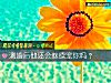 《測婚後他還會繼續寵你嗎？》测试