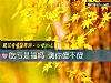 《<i>吃虧</i>是福嗎 測你傻不傻》测试