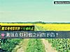 《測現在你和他之間的<i>矛盾</i>？》测试