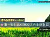 《測一測你嫁給哪種人會非常<i>幸福</i>》测试