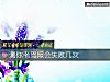 《測你考駕照會<i>失敗</i>幾次》测试