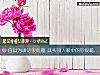 《自以爲講話很有趣 其實別人<i>眼中</i>的你很嘴賤？》测试