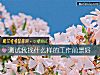 《測試我找什麼樣的工作前景好》测试