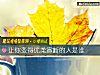《讓你變得優柔寡斷的人是誰》测试
