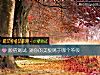 《顔值測試 測你的美貌屬于<i>哪個</i>等級》测试