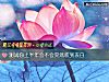 《測試你上半年會不會突然收到<i>表白</i>》测试