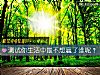 《測試你<i>生活</i>中最不想贏了誰呢？》测试
