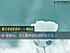 《<i>愛情</i>中，戀人最希望你做的是什麼？》测试