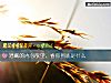 《潛藏的<i>內心</i>欲望，看你到底是什麼》测试