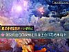 《測沒有面包的<i>愛情</i>在你身上會開花結果嗎？》测试