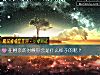 《在<i>相親</i>的時候你會是什麼樣子的呢？》测试