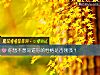 《你想不想知道你的<i>性格</i>是否剛強？》测试
