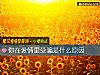 《你在<i>愛情</i>裏受騙是什麼原因》测试