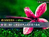 《測一測什麼星座的<i>男人</i>和你最爲般配》测试
