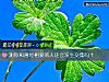 《測你和曾經相愛的人還會<i>發生</i>交集嗎？》测试