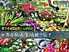 《本年情場/職場<i>哪個</i>旺？》测试