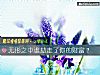 《無形之中誰劫走了你的<i>財富</i>？》测试
