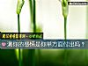 《測你的<i>感情</i>是你單方面付出嗎？》测试