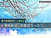 《<i>愛情</i>測試：你願意等ta多久》测试