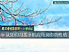 《從如何歸類手機應用測你的<i>性格</i>》测试