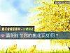《清明時節你的<i>桃花運</i>如何？》测试