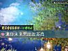 《測你未來男<i>朋友</i>多高》测试
