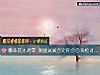 《哪朵花先凋零 測<i>面試</i>被否定你會自我檢討嗎？》测试