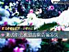 《測試你會被甜言蜜語騙<i>多久</i>》测试