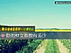 《你的紳女<i>指數</i>有多少》测试