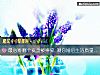 《最心疼<i>哪個</i>瓷盤被摔碎 測你婚後生活質量好嗎？》测试