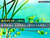 《異性測試 從月亮看女人吸引什麼樣的<i>男人</i>》测试