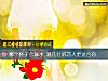 《<i>哪個</i>杯子會漏水 測幾分的戀人更適合你》测试