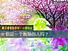《你是一個晚熟的人嗎？》测试