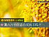 《測六月份你適合<i>買房</i>子嗎？》测试