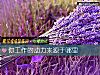 《你工作的動力來源于哪裏》测试