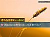 《測試你的理想和你的工作能重合嗎？》测试