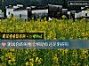 《測試你的閨蜜會<i>幫助</i>你還是阻礙你》测试