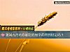 《測試九月初你能輕而易舉的得到財運嗎？》测试